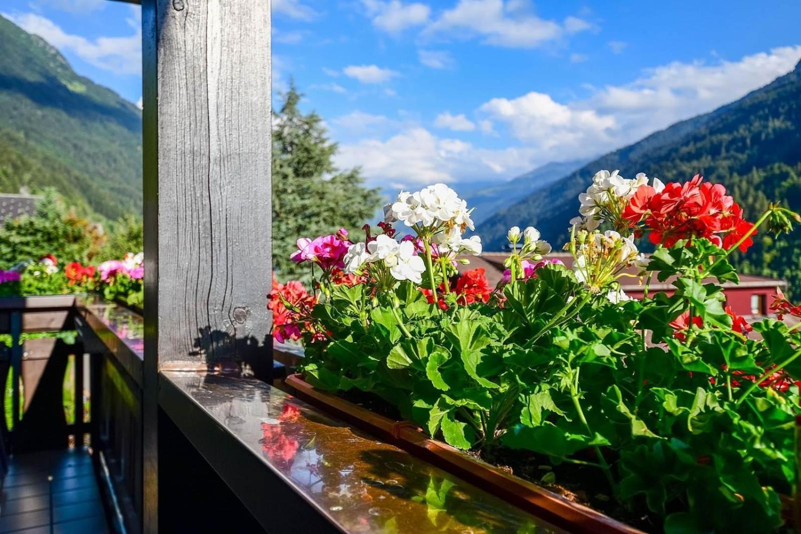 Apartment Rotbuehlspitze Sankt Gallenkirch Kültér fotó